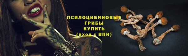 прущая мука Волоколамск